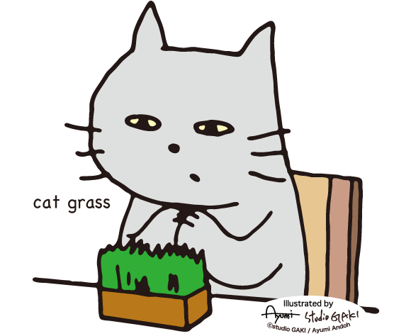猫草は猫が食べられる数少ない植物です
